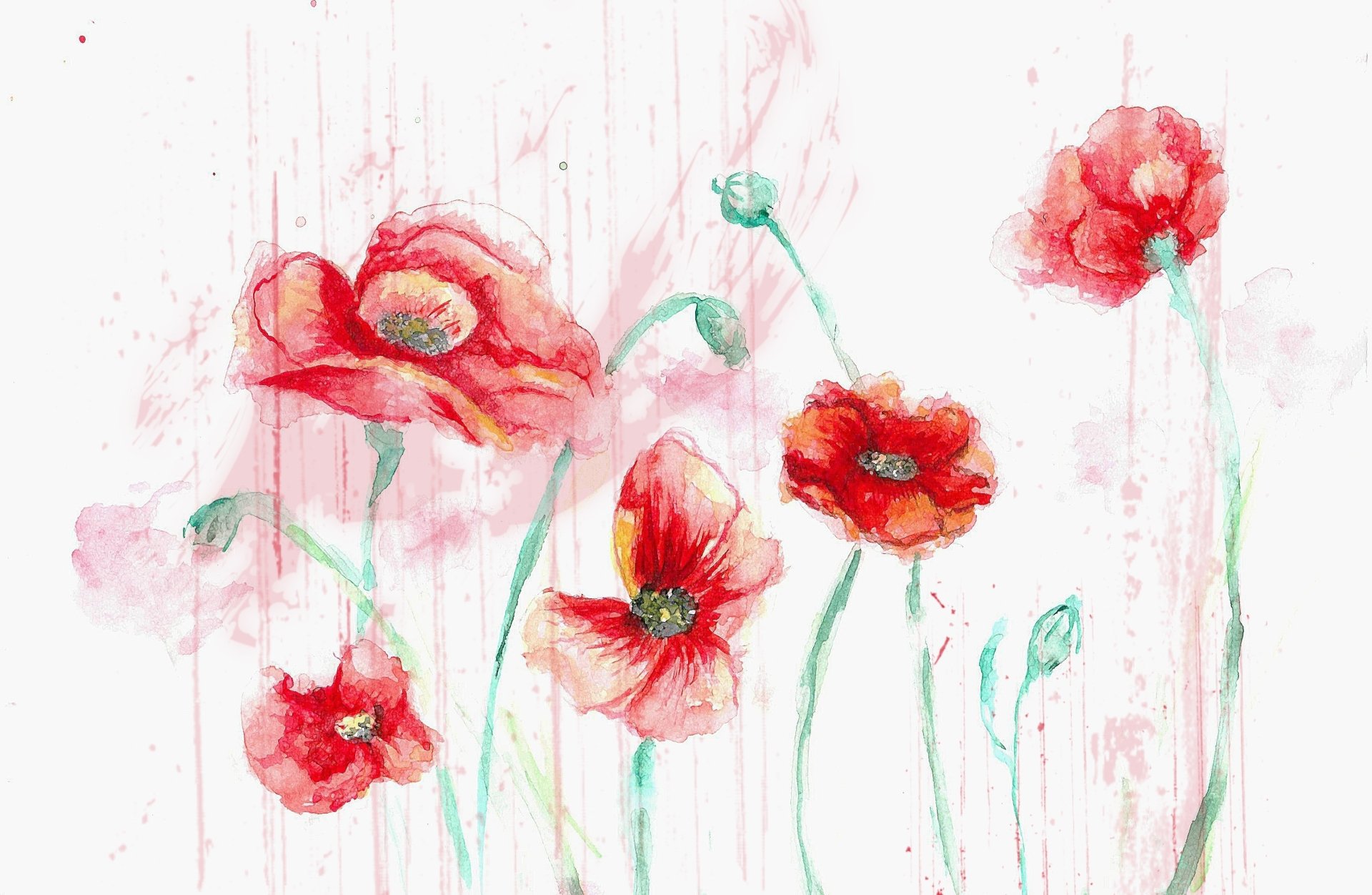 Watercolor painting of delicate red flowers with green stems, created as an artistic HD PC desktop wallpaper and background.