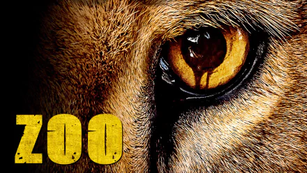 TV Show zoo HD Desktop Wallpaper | Background Image