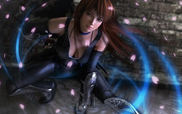 Video Game Dead Or Alive 5 Dead or Alive Fantasy Woman Warrior Brown Hair Kasumi HD Wallpaper | Background Image