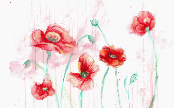 Watercolor painting of delicate red flowers with green stems, created as an artistic HD PC desktop wallpaper and background.
