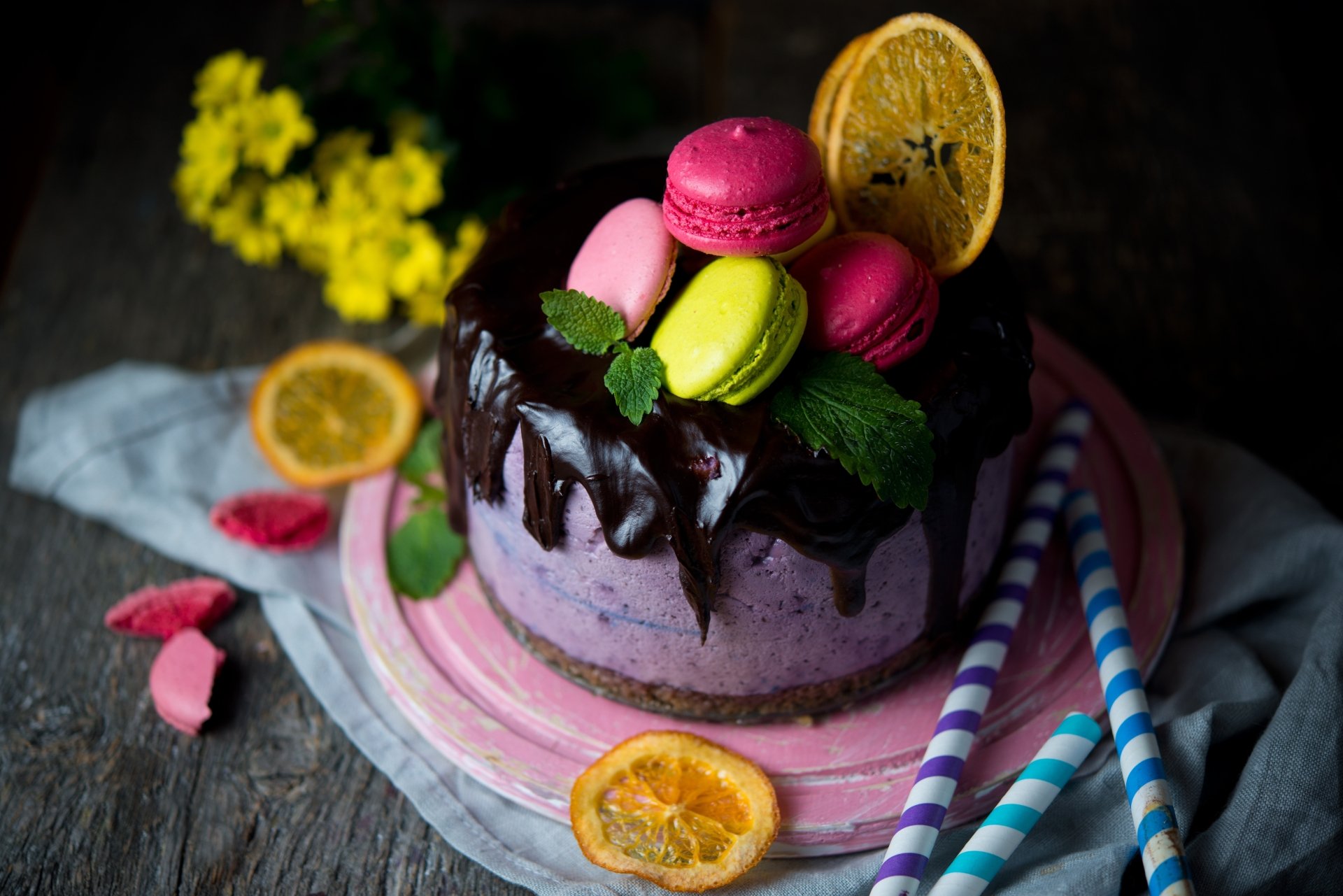 Download Macaron Still Life Chocolate Pastry Food Cake 8k Ultra HD Wallpaper