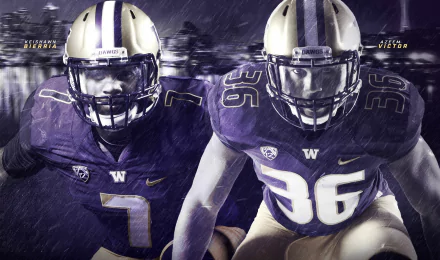 football college football Washington Huskies Sports HD Desktop Wallpaper | Background Image
