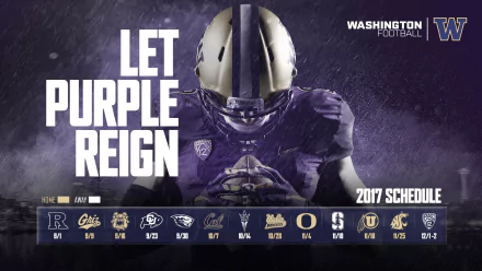 football college football Washington Huskies Sports HD Desktop Wallpaper | Background Image