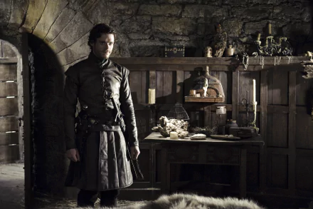 Richard Madden Robb Stark TV Show Game Of Thrones HD Desktop Wallpaper | Background Image