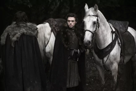Richard Madden Robb Stark TV Show Game Of Thrones HD Desktop Wallpaper | Background Image