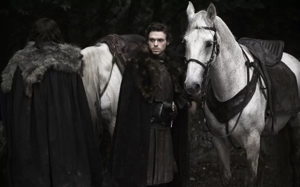 Richard Madden Robb Stark TV Show Game Of Thrones HD Desktop Wallpaper | Background Image