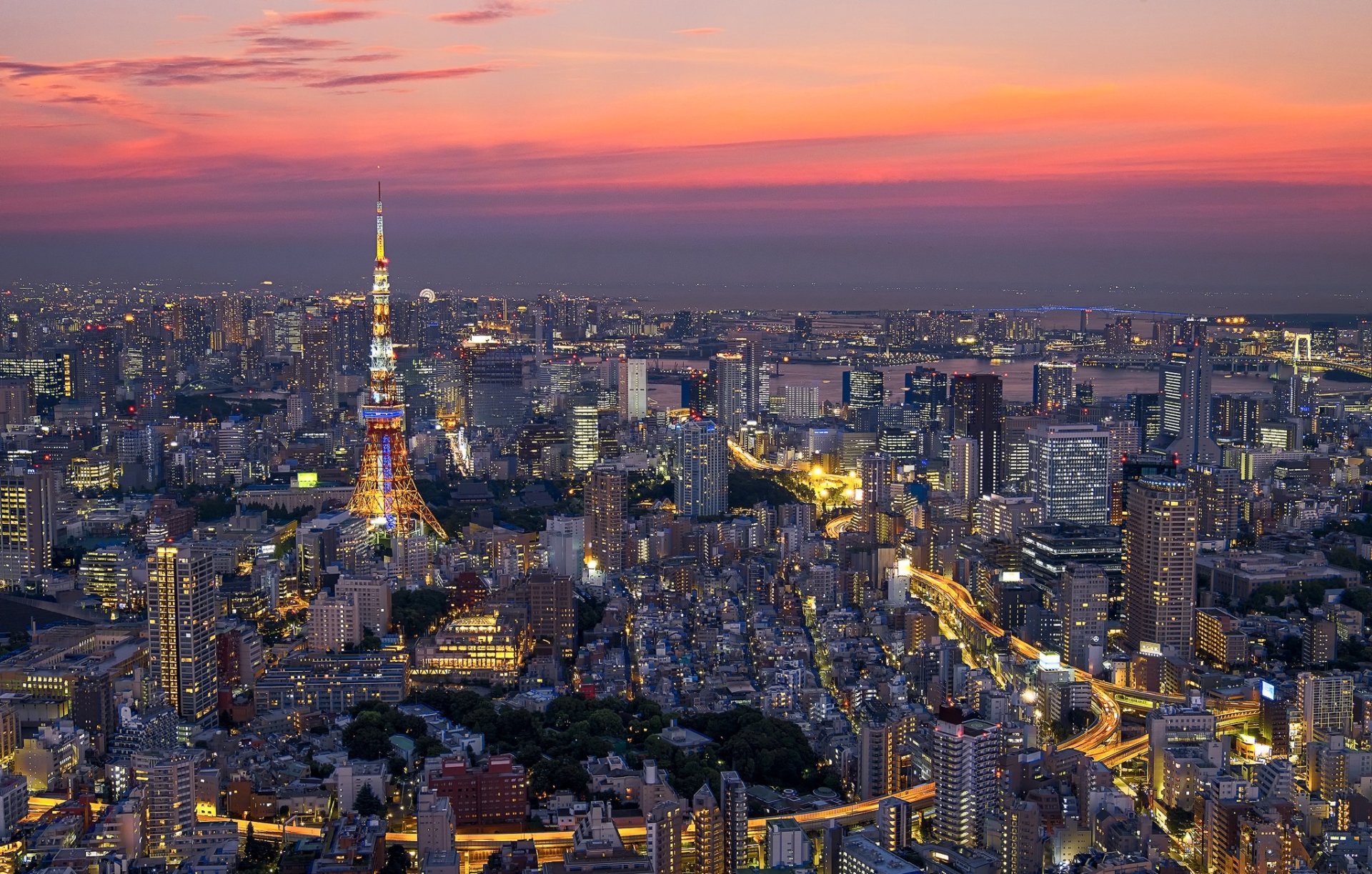 Download Tokyo Tower Skyscraper Building Cityscape Night City Japan Man ...