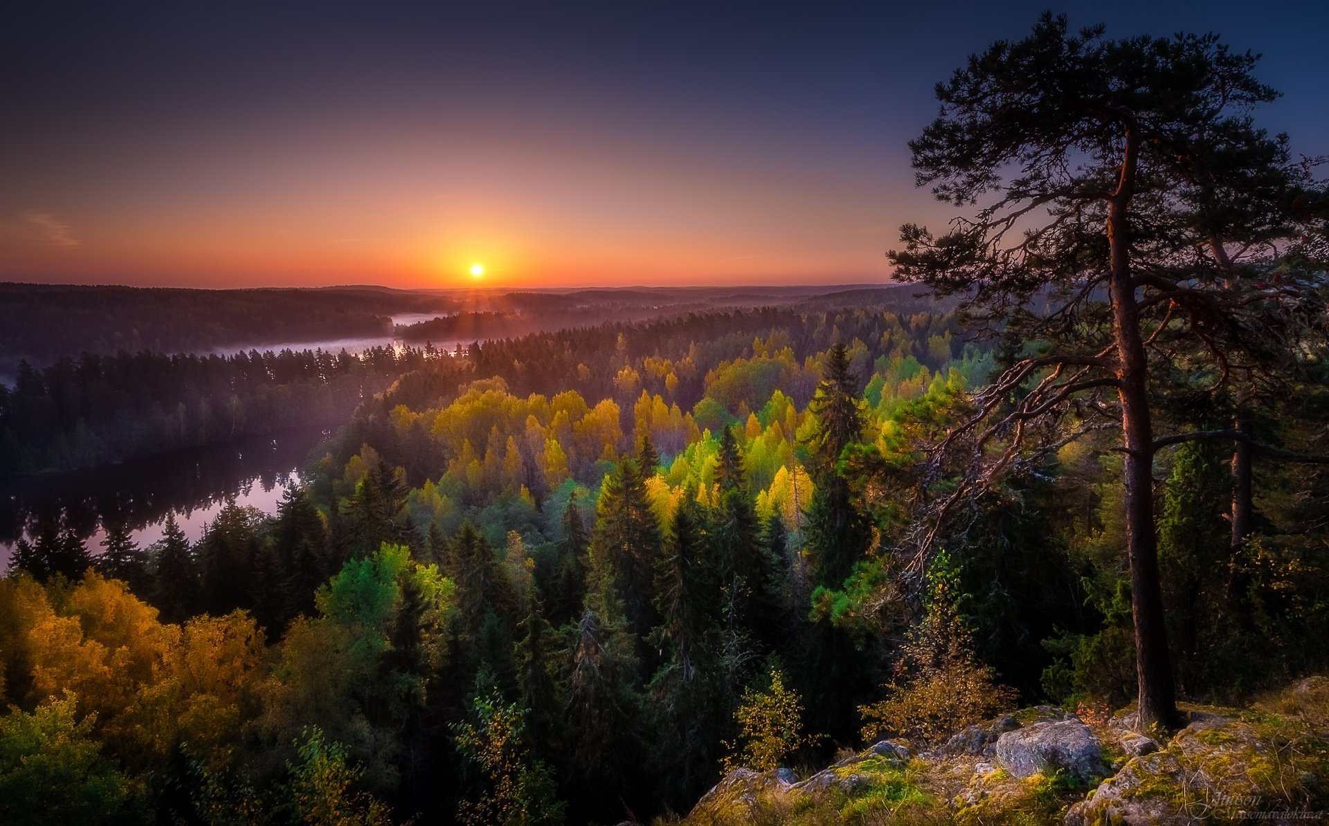 Download Horizon Forest Sunrise Nature Landscape HD Wallpaper