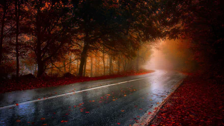 HD desktop wallpaper depicting a foggy forest road surrounded by autumn trees and fallen leaves, creating a serene and mysterious atmosphere.