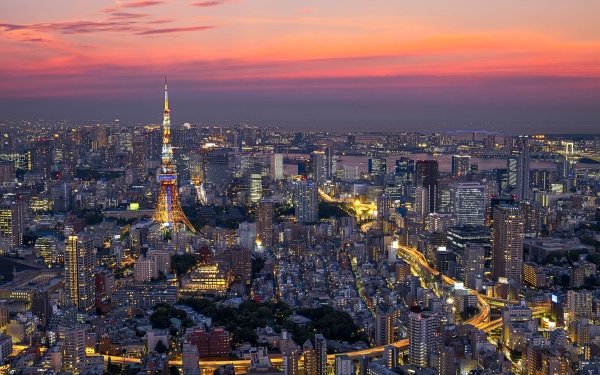 Man Made Tokyo Cities Japan City Night Cityscape Building Skyscraper Tokyo Tower HD Wallpaper | Background Image