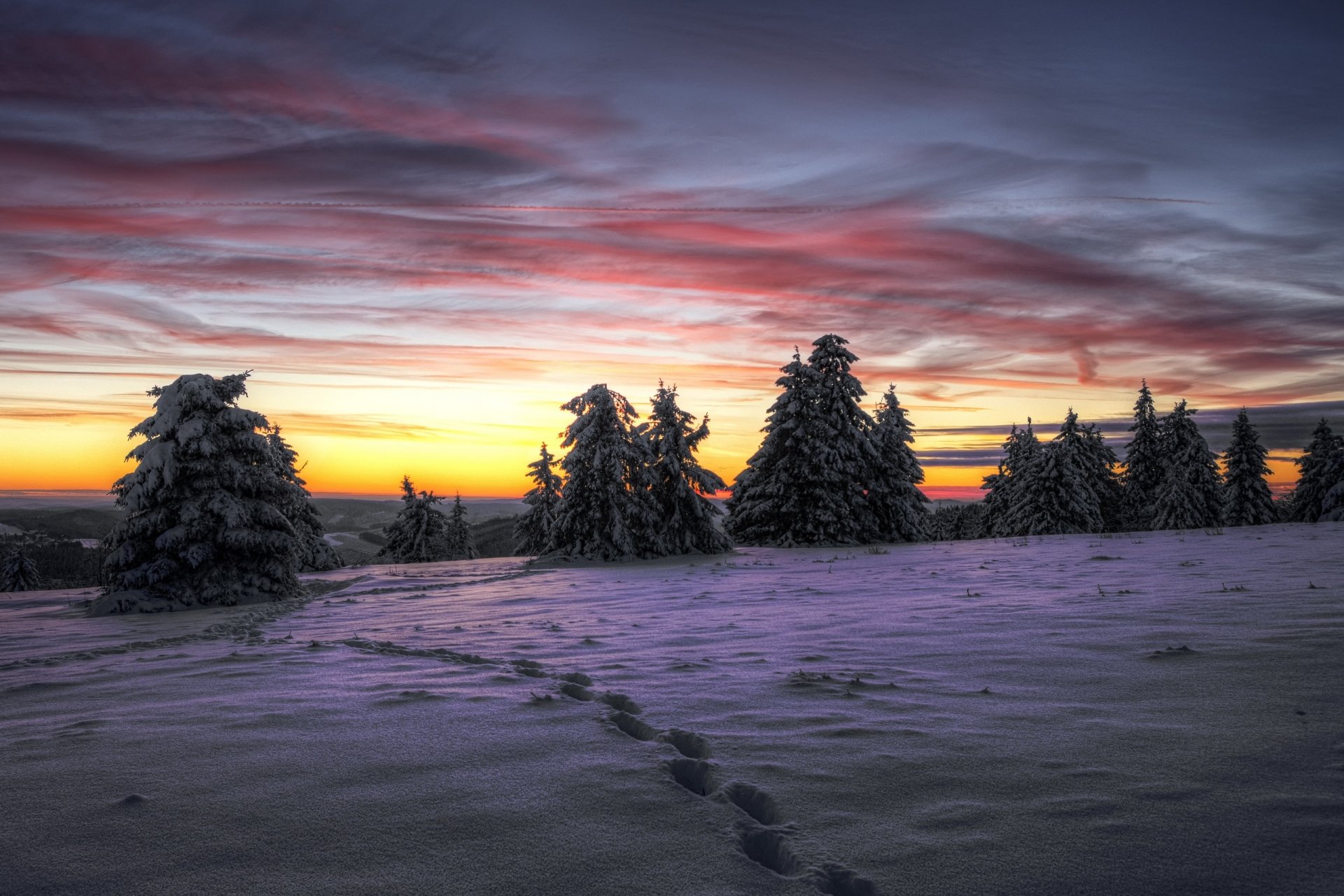 HD winter landscape wallpaper showing snow-covered ground with a single footprint trail leading toward a line of trees under a colorful sunset sky.
