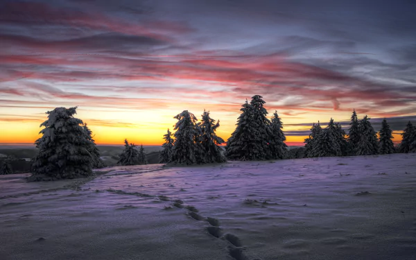 HD winter landscape wallpaper showing snow-covered ground with a single footprint trail leading toward a line of trees under a colorful sunset sky.