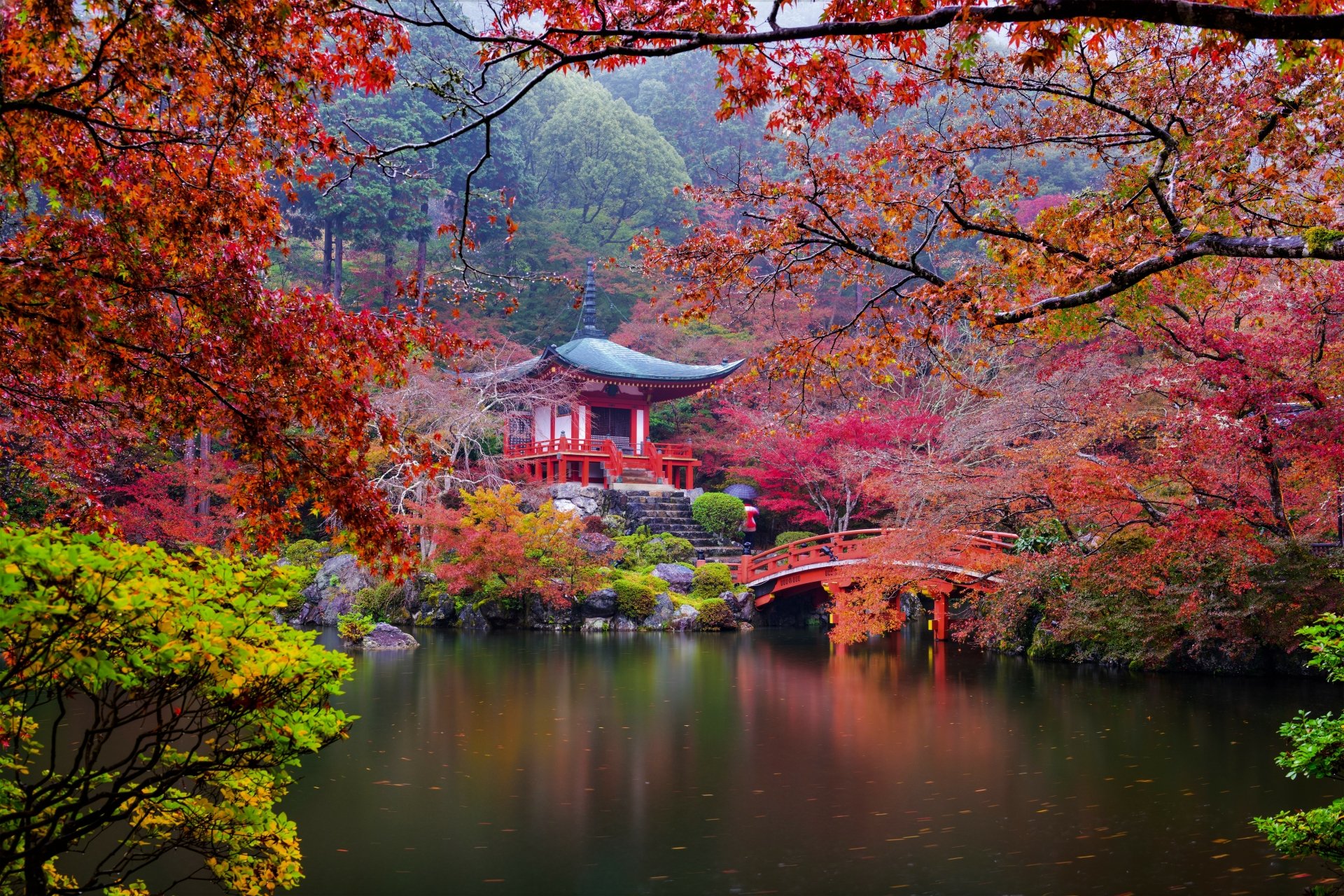autumn trees in japan