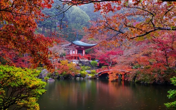 Religioso Daigo-ji Templos Jardín Jardín japonés Pagoda Puente Otoño Fondo de pantalla HD | Fondo de Escritorio