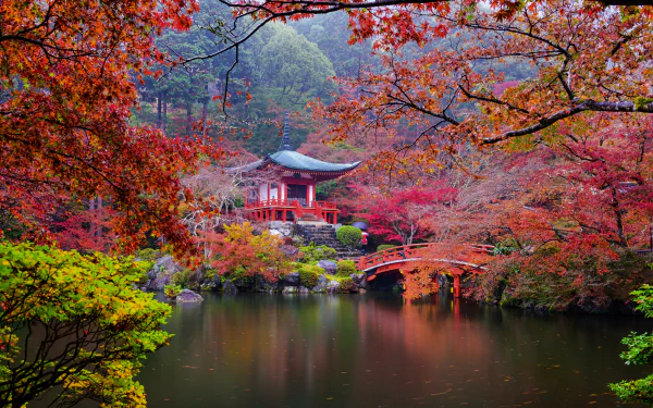 HD wallpaper of Daigo-ji Japanese garden in fall, featuring a colorful landscape with a serene pond, pagoda, and bridge.