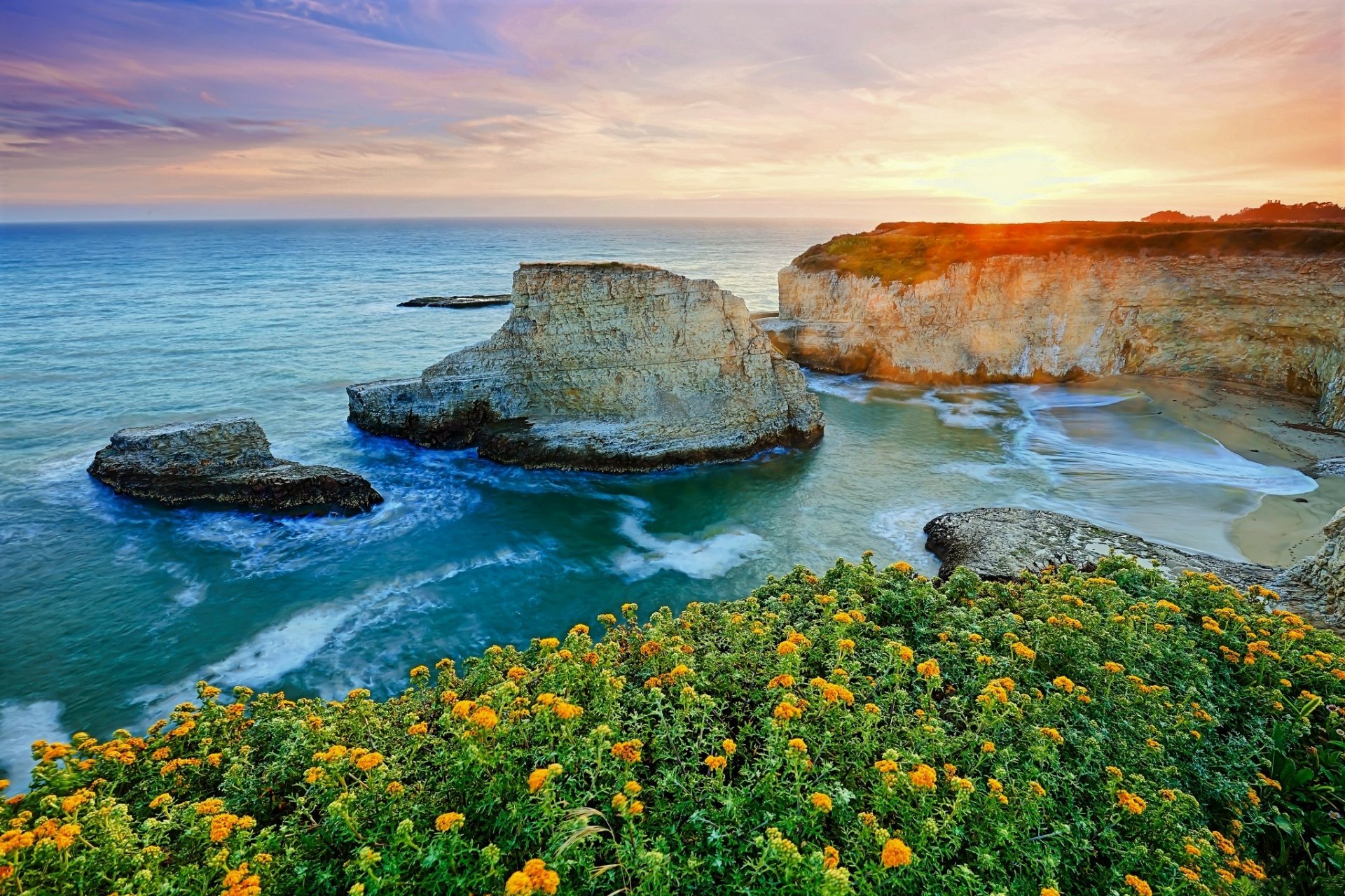 Flowers on the Coast