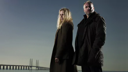 TV Show The Bridge (2011) HD Desktop Wallpaper | Background Image