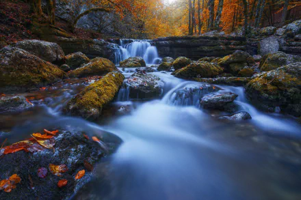 HD desktop wallpaper featuring a serene nature scene with a foamy stream cascading over rocks, surrounded by autumn foliage.