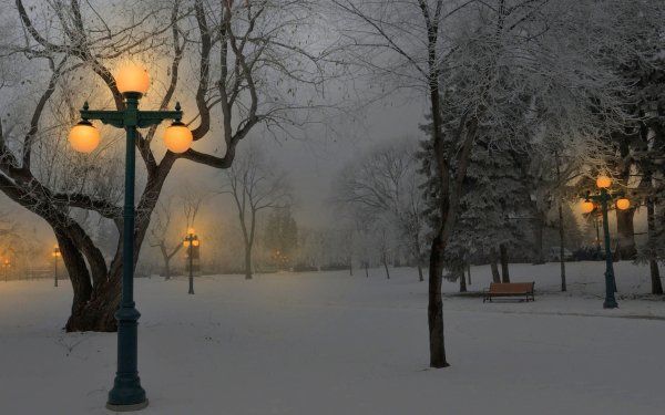 Photography Park Winter Snow Light Dusk Bench Tree Lamp Post HD Wallpaper | Background Image