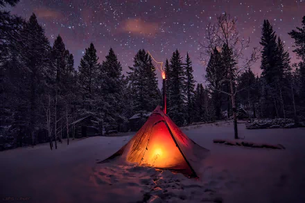 A glowing tent illuminates a snowy forest under a starry winter night sky, captured in HD for a serene camping scene.