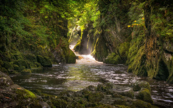 HD desktop wallpaper featuring a serene canyon with lush greenery, where a tranquil river flows through moss-covered rocks, creating a harmonious nature backdrop.