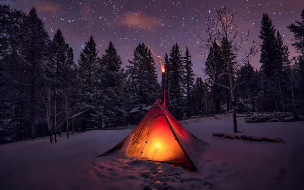 A glowing tent illuminates a snowy forest under a starry winter night sky, captured in HD for a serene camping scene.