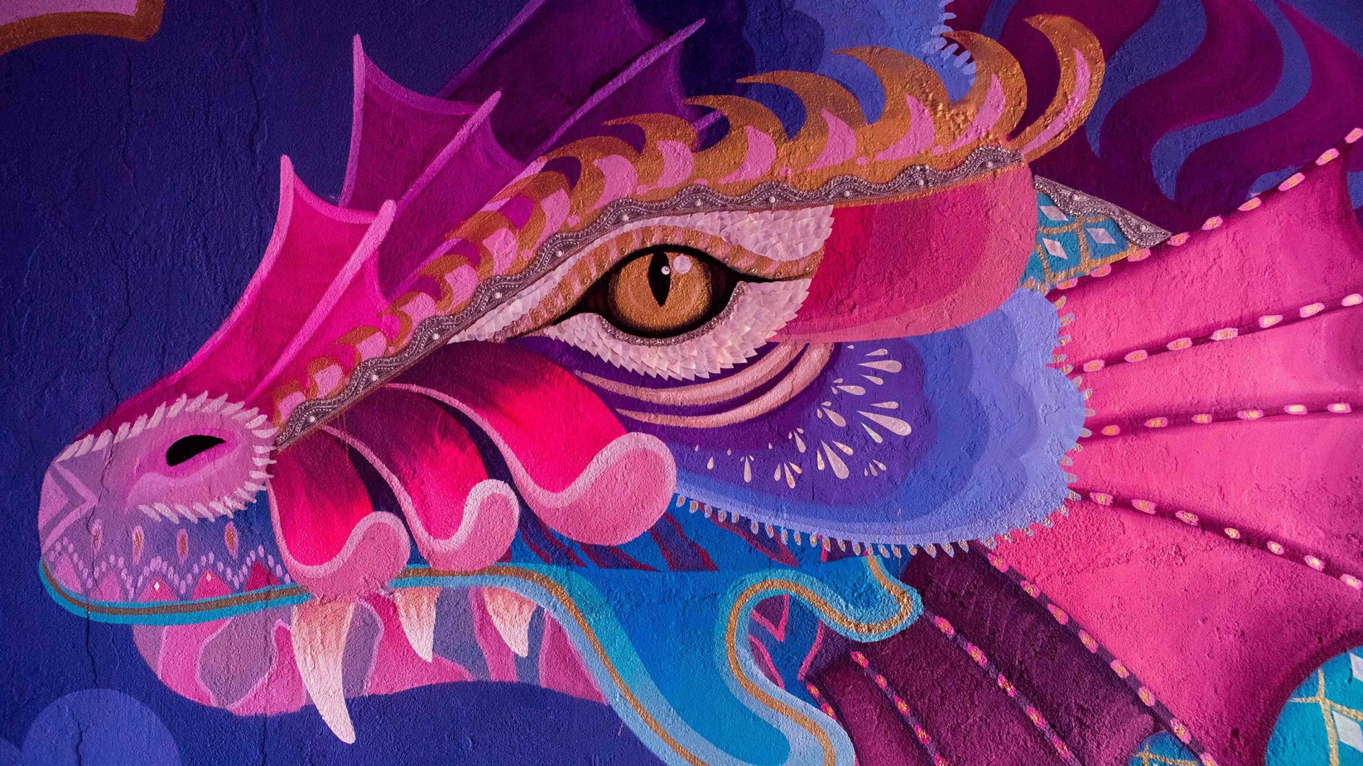 Vibrant graffiti mural of a fantasy dragon with intricate pink, purple, and blue details, designed as an HD PC desktop wallpaper and background.