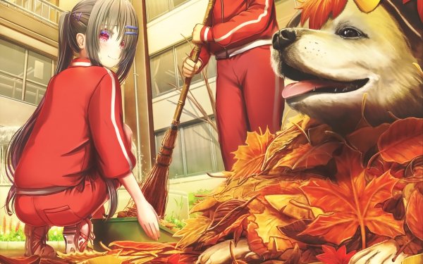 Anime Original Dog Leaf Broom Red Eyes Cute Schoolgirl HD Wallpaper | Background Image