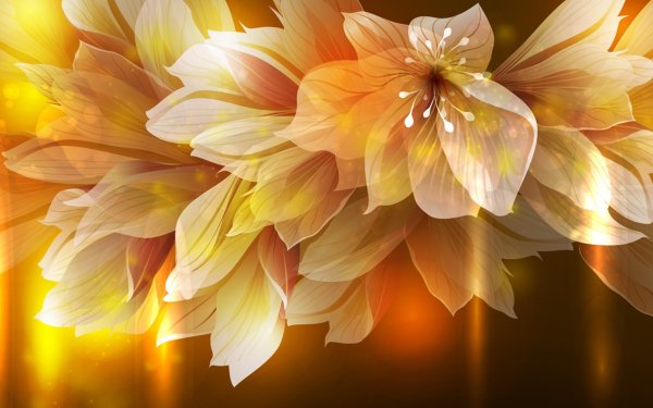 Artistic Flower Flowers Petal Fall HD Wallpaper | Background Image
