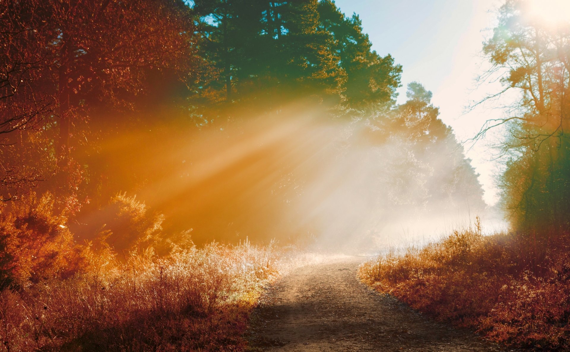 A dirt road winds through vibrant autumn foliage with sunbeams piercing morning mist, captured in stunning 4K Ultra HD for a serene nature desktop wallpaper.