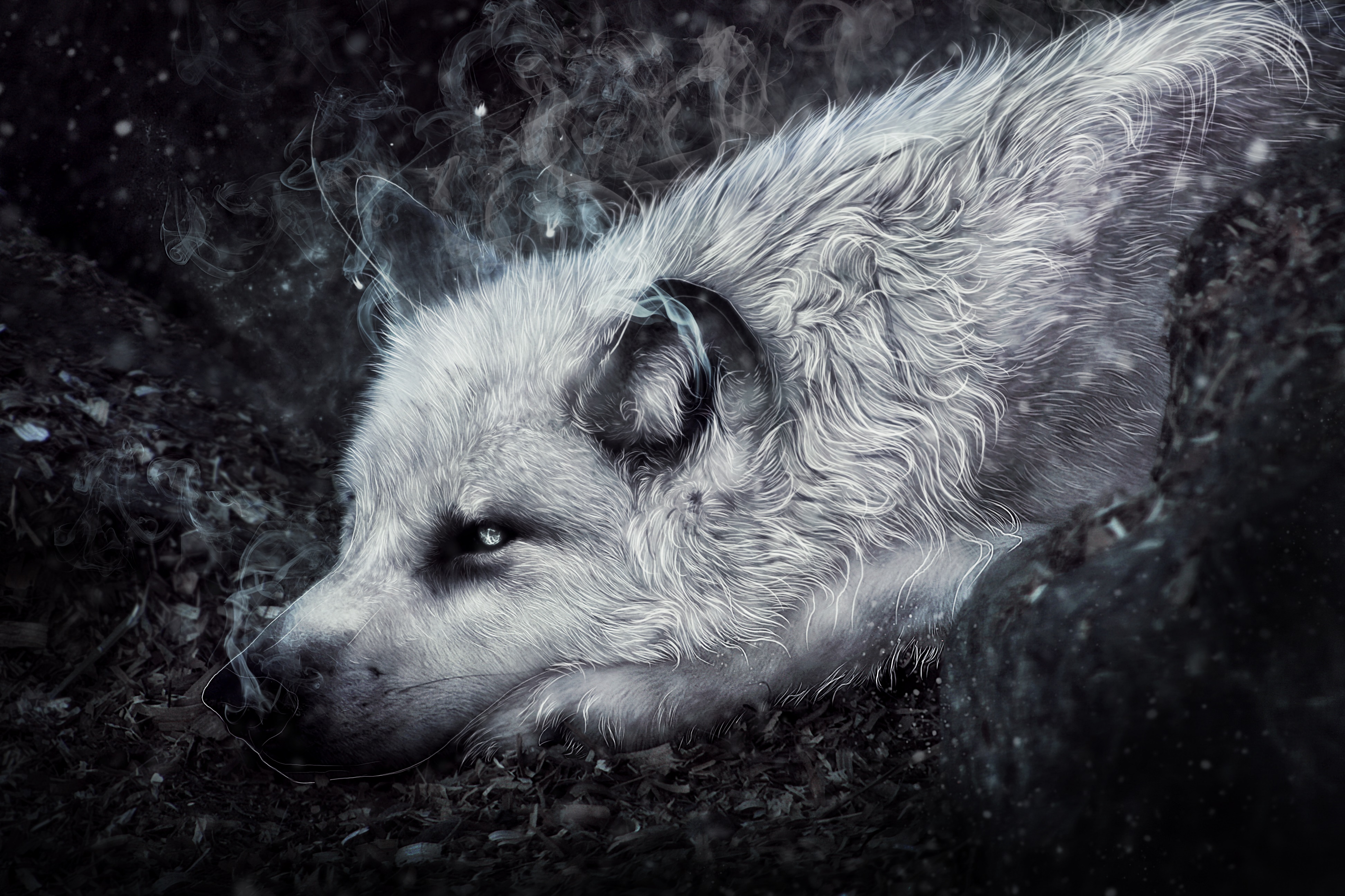 Fantasy Wolf 4k Ultra HD Wallpaper by Amphispiza