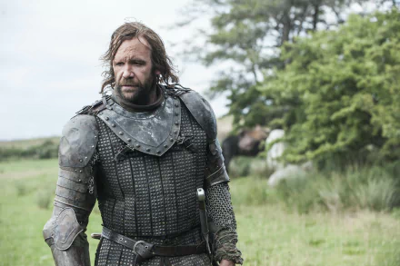 Rory McCann Sandor Clegane TV Show Game Of Thrones HD Desktop Wallpaper | Background Image