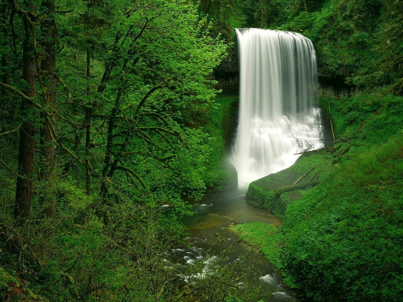Download Vegetation Green Nature Waterfall Wallpaper
