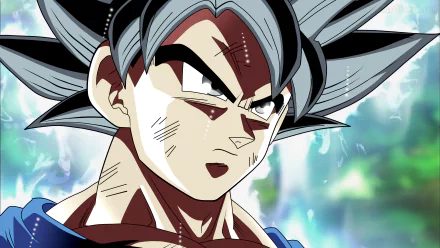HD desktop wallpaper featuring a character from Dragon Ball Super with gray and black hair, intense expression, and a detailed background. Tags: Anime, Dragon Ball Super.