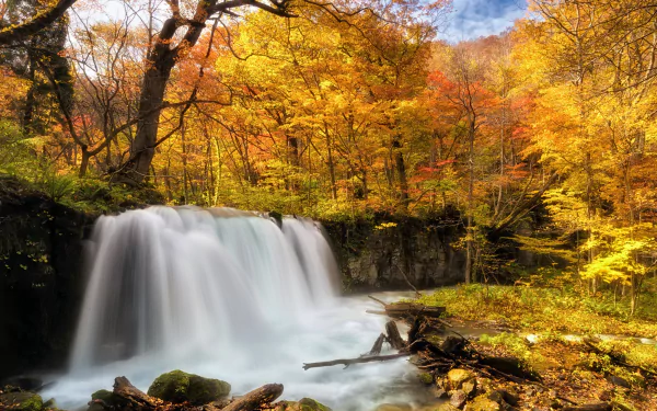 HD desktop wallpaper showcasing a waterfall with foamy water flowing through a vibrant fall forest surrounded by colorful autumn trees in nature.