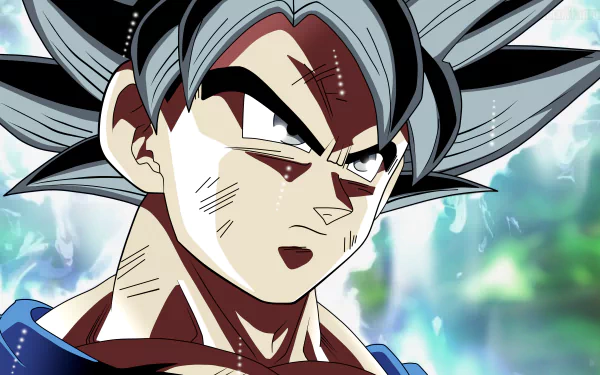 HD desktop wallpaper featuring a character from Dragon Ball Super with gray and black hair, intense expression, and a detailed background. Tags: Anime, Dragon Ball Super.