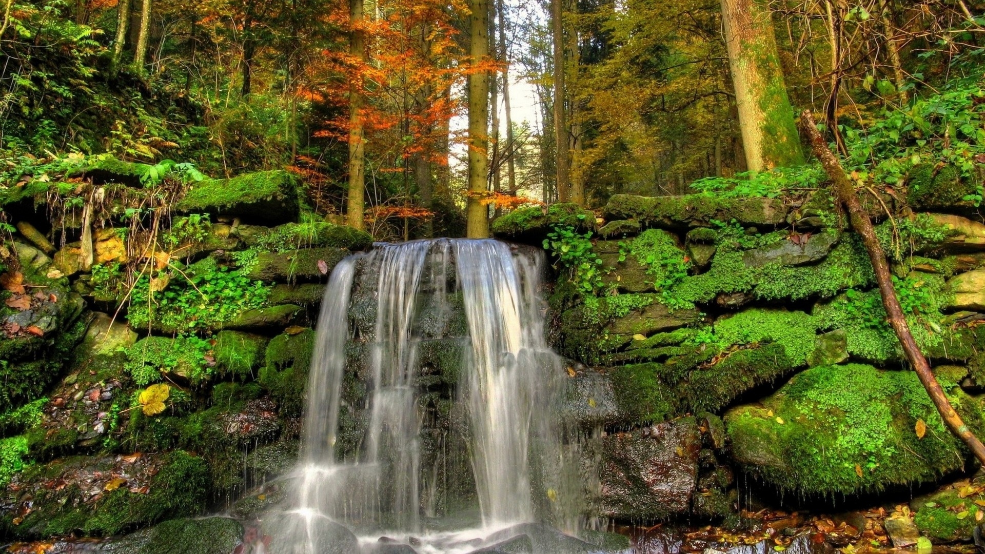 Nature Waterfall HD Wallpaper