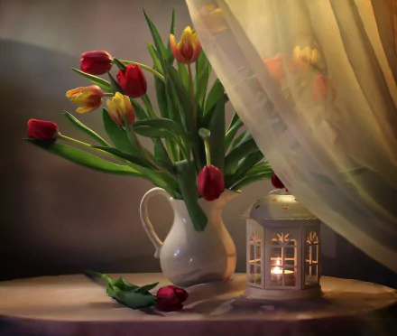 curtain lantern vase tulip photography still life HD Desktop Wallpaper | Background Image