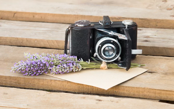 vintage camera still life lavender man made camera HD Desktop Wallpaper | Background Image