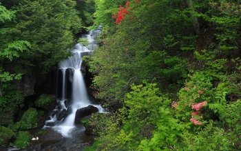500 溪流高清壁纸 桌面背景