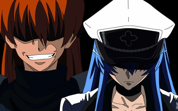Anime Akame ga Kill! Seryu Ubiquitous Esdeath Fondo de pantalla HD | Fondo de Escritorio