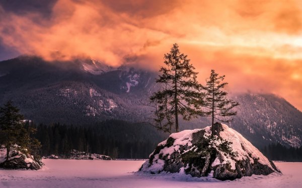 Earth Winter Tree Mountain Forest Sunset HD Wallpaper | Background Image