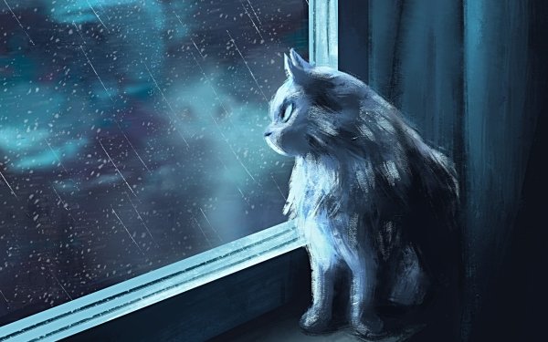 Fantasy Cat Fantasy Animals Rain Window HD Wallpaper | Background Image