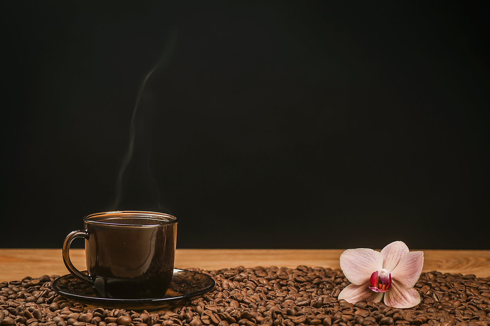 A steaming cup of coffee on a saucer surrounded by coffee beans with a pink orchid, set against a dark background in 4K Ultra HD.
