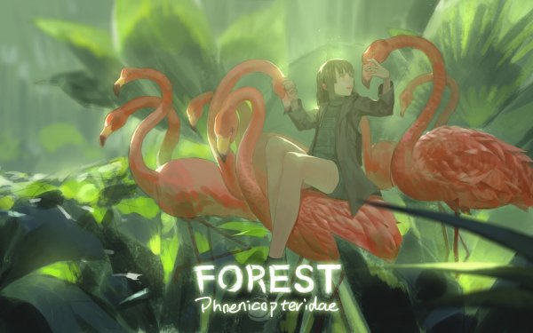 Anime Original Forest HD Wallpaper | Background Image