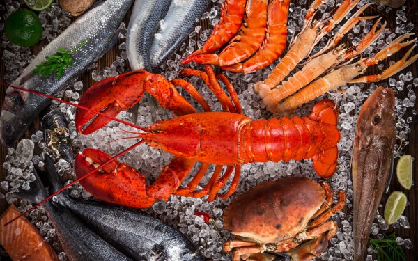 Food Seafood Crayfish Crab Fish Lobster Still Life HD Wallpaper | Background Image