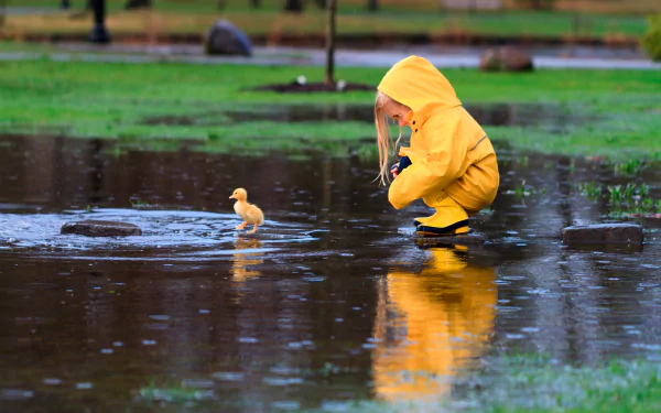 A young child in a yellow raincoat crouches to observe a duckling on a rainy day, reflected in puddle water.