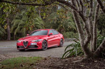car Alfa Romeo vehicle Alfa Romeo Giulia HD Desktop Wallpaper | Background Image