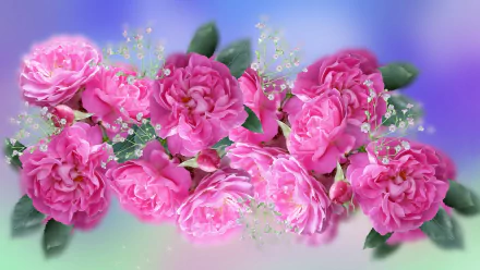  Pink Roses