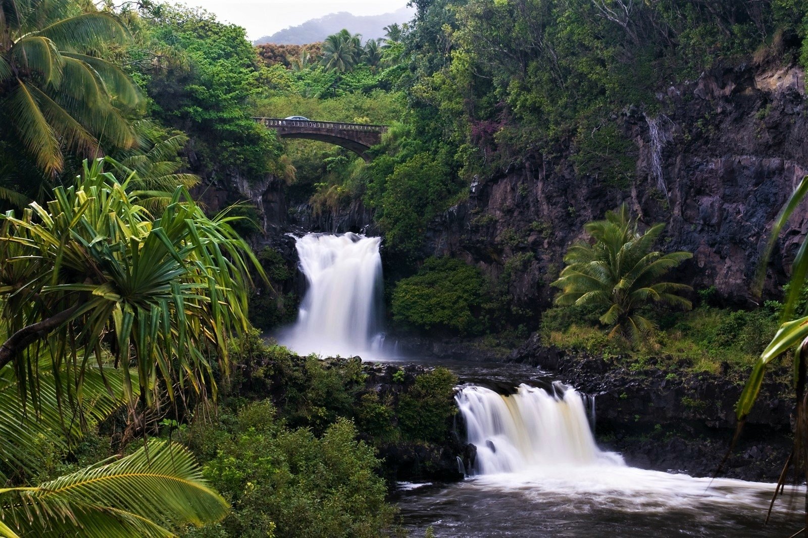 Lush tropical rainforest with twin waterfalls cascading beneath a stone bridge, surrounded by dense green foliage — HD PC desktop wallpaper and nature background.